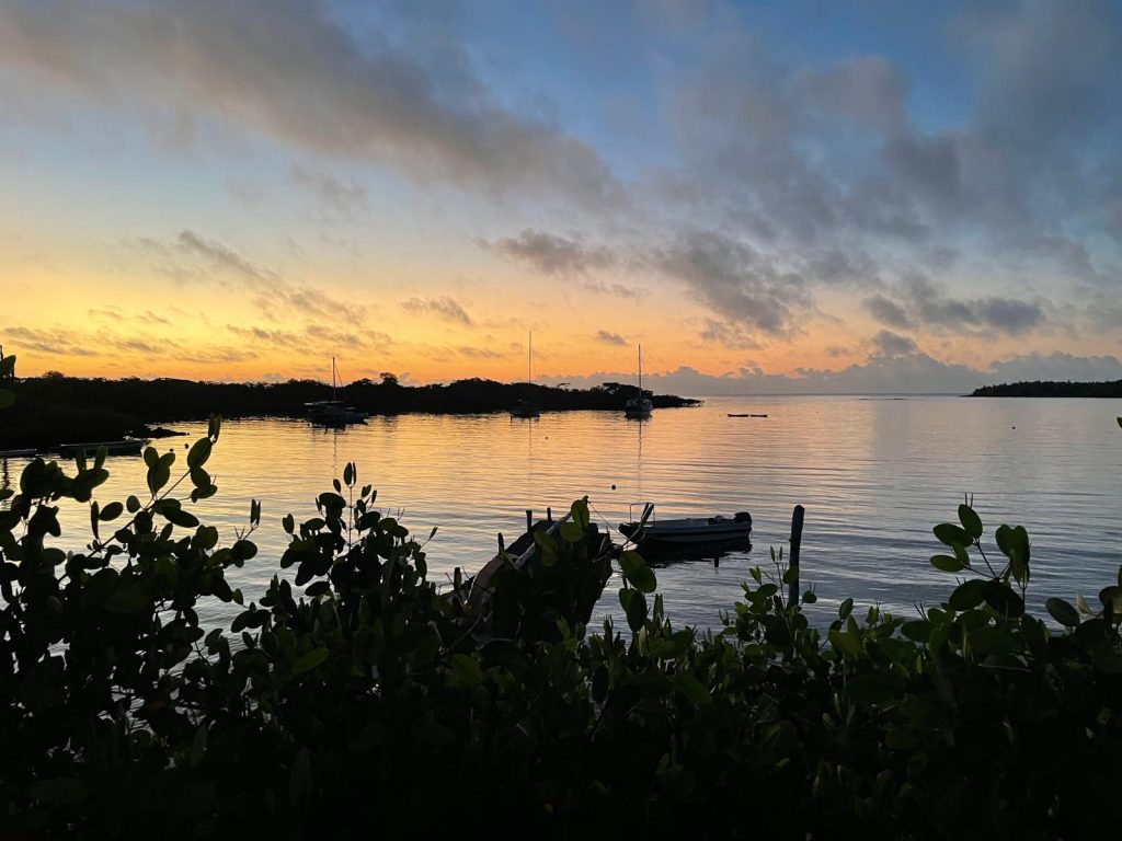 Küste auf Galápagos