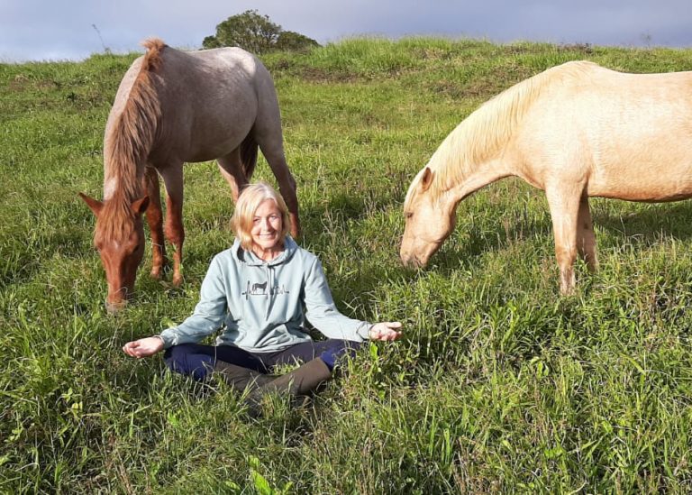 meditieren mit pferden