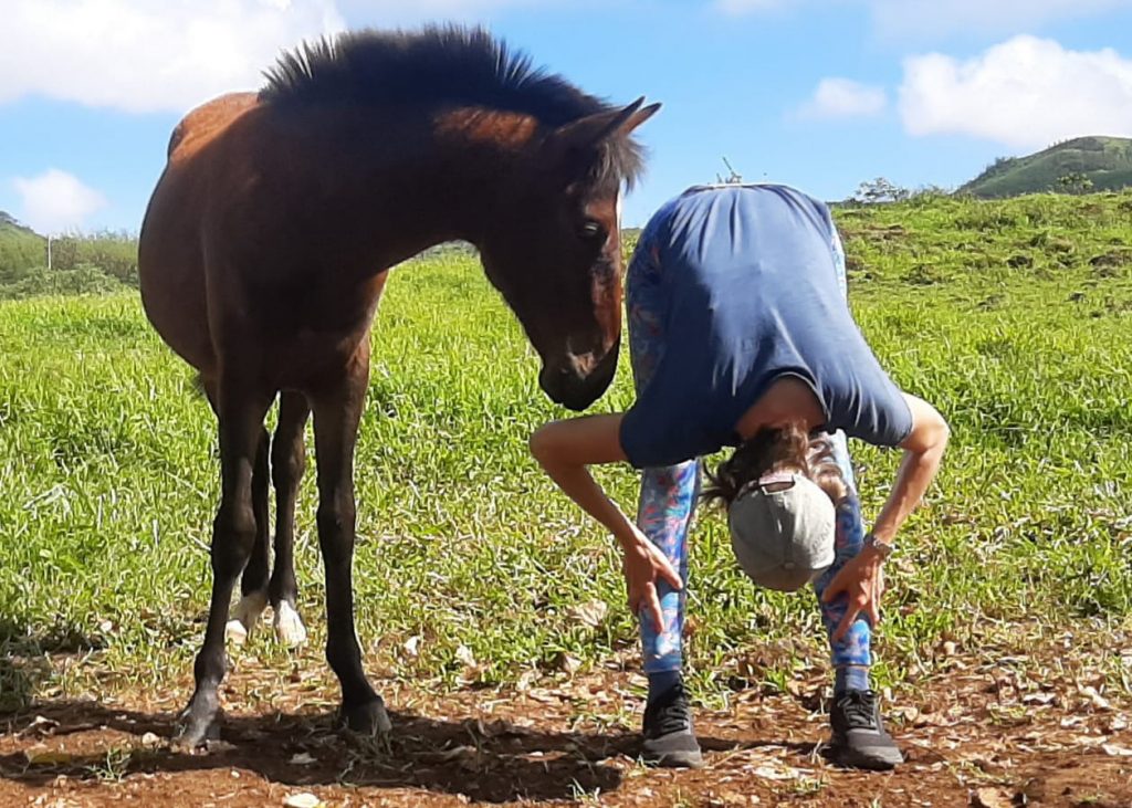 yoga mit pferd
